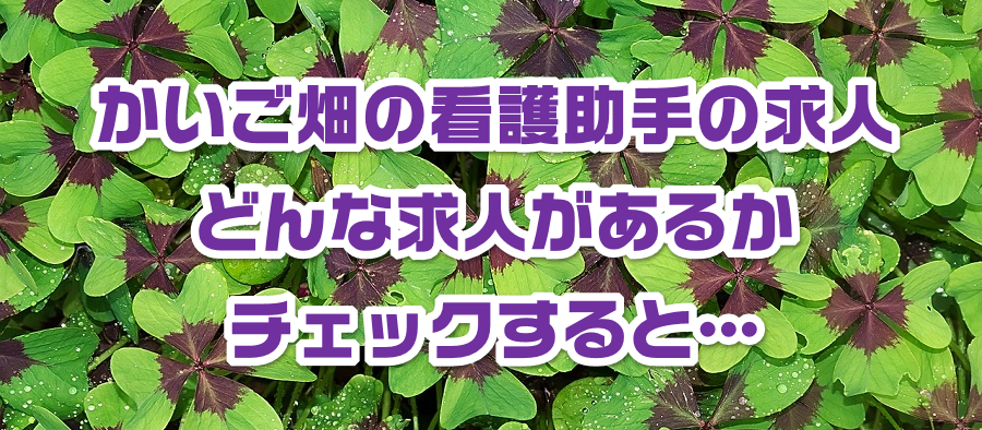かいご畑の看護助手の求人|どんな求人があるかチェックすると…